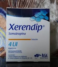 Xerendip 4 ui